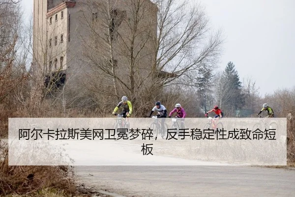 a-er-ka-la-si-mei-wang-wei-mian-meng-sui-fan-shou-wen-ding-xing-cheng-zhi-ming-duan-ban-2-822.jpg
