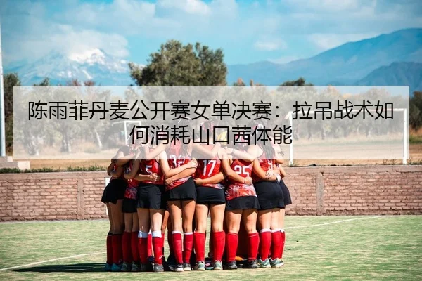 陈雨菲丹麦公开赛女单决赛：拉吊战术如何消耗山口茜体能